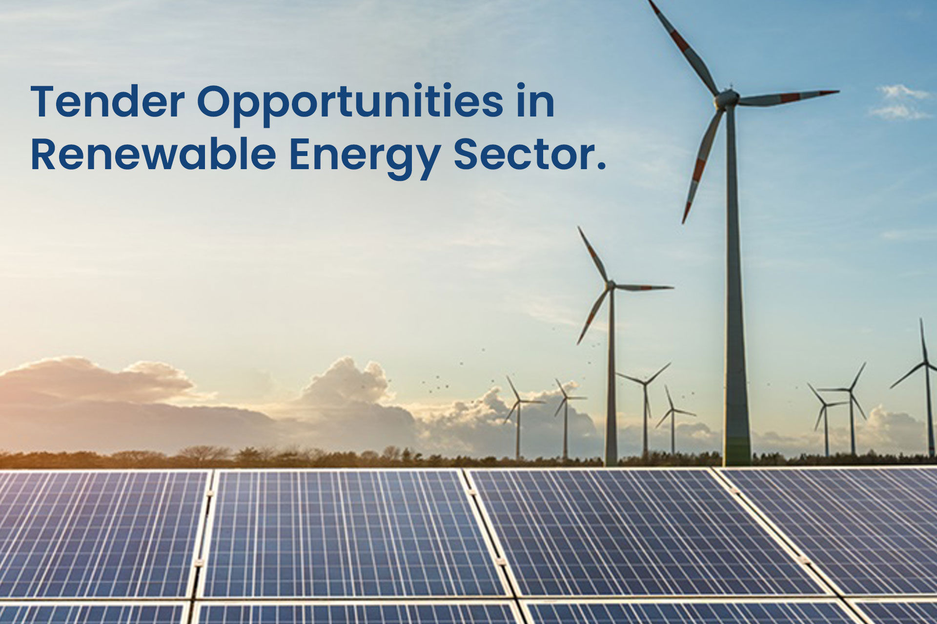 Tender Opportunities in the Renewable Energy Sector